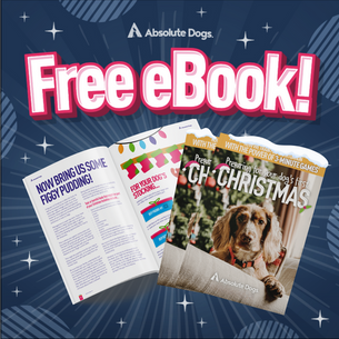 Get Your FREE Preparing For Your Dog's First Christmas eBook