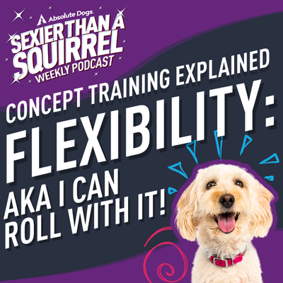 Concept Training: Flexibility aka I Can Roll With It