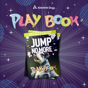 Get Your FREE "Jump No More" Playbook