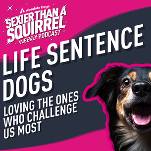 Life Sentence Dogs: Loving the Ones Who Challenge Us Most