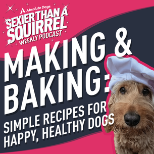 Making & Baking: Simple Recipes for Happy, Healthy Dogs