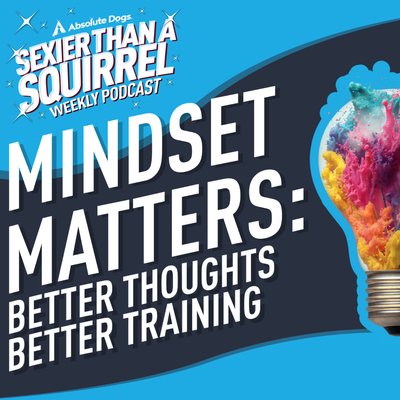 Mindset Matters: Better Thoughts, Better Training