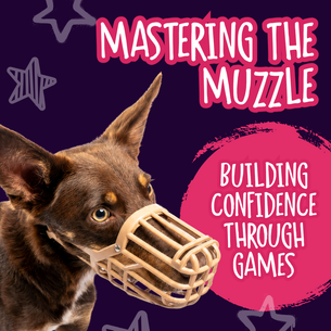 Mastering the Muzzle: Building Confidence Through Games