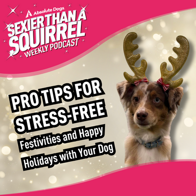 Pro Tips for Stress-free Festivities and Happy Holidays with Your Dog