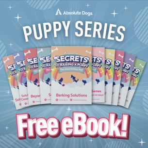 Get Your FREE Secrets To Raising a Puppy the Absolute Dogs Way Bundle!