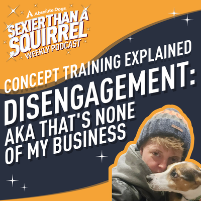 Concept Training Explained: Disengagement aka That's None of My Business