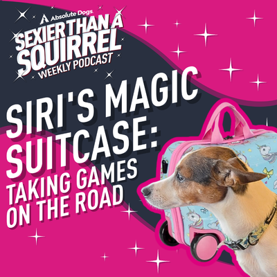 Siri's Magic Suitcase: Taking Games on the Road