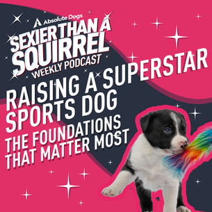 Raising a Superstar Sports Dog: The Foundations That Matter