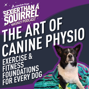 The Art of Canine Physio: Exercise & Fitness Foundations for Every Dog