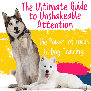 The Ultimate Guide to Unshakeable Attention