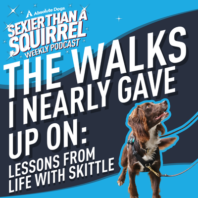 The Walks I Nearly Gave Up On: Lessons From Life With Skittle