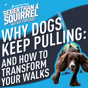 Why Dogs Keep Pulling: And How to Transform Your Walks