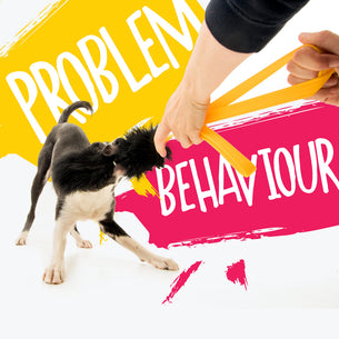 My Dog’s Behaviour is a Problem (and I can’t fix it!)