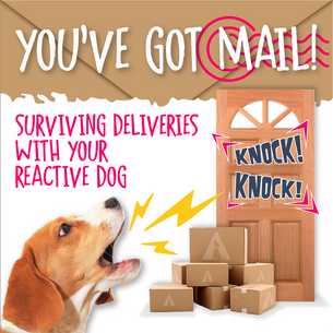 You've Got Mail. Dog barking at door