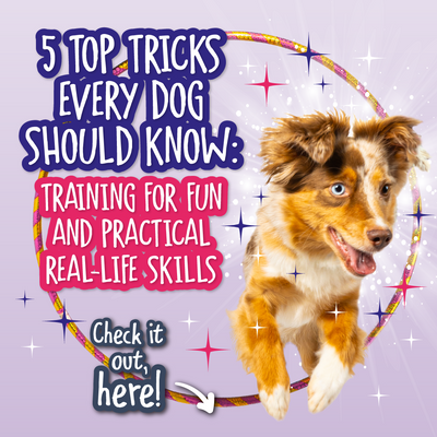 5 Top Tricks Every Dog Should Know: Training for Fun and Practical Real-Life Skills