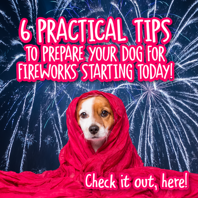 6 Practical Tips to Prepare Your Dog for Fireworks Starting TODAY!