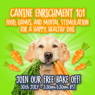 Canine Enrichment 101: Food, Games, and Mental Stimulation for a Happy, Healthy Dog