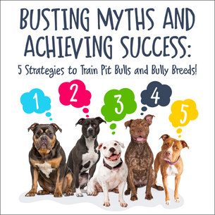 Group of bully breed dogs sitting together