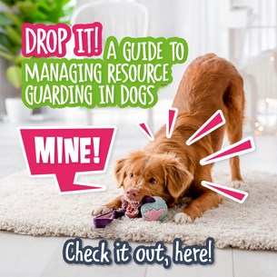 Drop It! A Guide to Managing Resource Guarding in Dogs