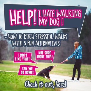 Help! I Hate Walking My Dog How to Ditch Stressful Walks with 5 Fun Alternatives