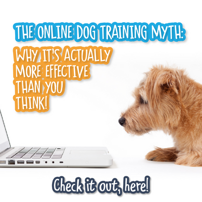 The Online Dog Training Myth: Why It’s Actually More Effective Than You Think