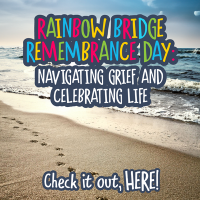 Rainbow Bridge Remembrance Day: Navigating Grief and Celebrating Life