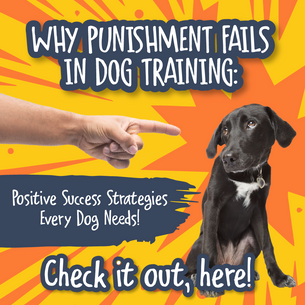 Why Punishment Fails in Dog Training: Positive Success Strategies Every Dog Needs!