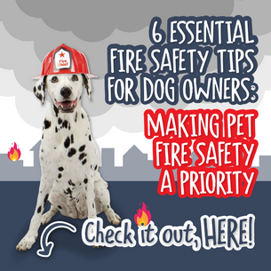 6 Essential Fire Safety Tips for Dog Owners: Making Pet Fire Safety A Priority