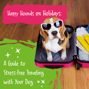 Happy Hounds On Holidays. Dog in suitcase