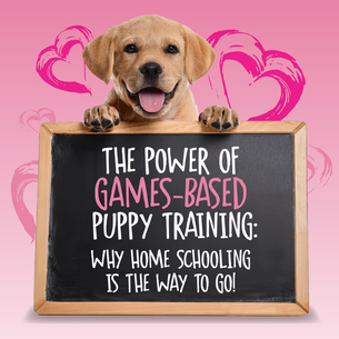 The Power of Games-Based Puppy Training: Why Home Schooling is the Way to Go
