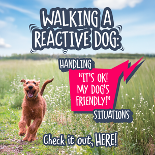 Walking a Reactive Dog: Handling “It's OK! My Dog's Friendly!” Situations