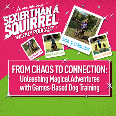 From Chaos to Connection: Unleashing Magical Adventures with Games-Based Dog Training