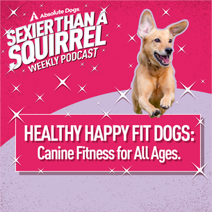 Healthy Happy Fit Dogs: Canine Fitness for All Ages
