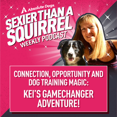 Connection, Opportunity and Dog Training Magic: Kei’s Gamechanger Adventure!