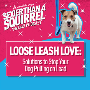 Loose Leash Love: Solutions to Stop Your Dog Pulling on Lead