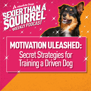 Motivation Unleashed: Secret Strategies for Training a Driven Dog