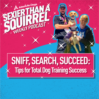 Sniff, Search, Succeed: Tips for Total Dog Training Success