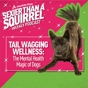 Tail Wagging Wellness: The Mental Health Magic of Dogs
