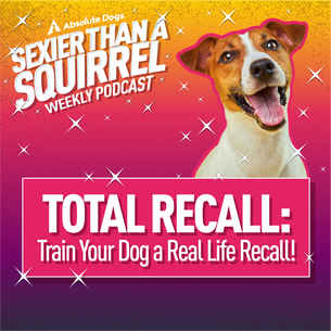 Total Recall: Train Your Dog a Real Life Recall!