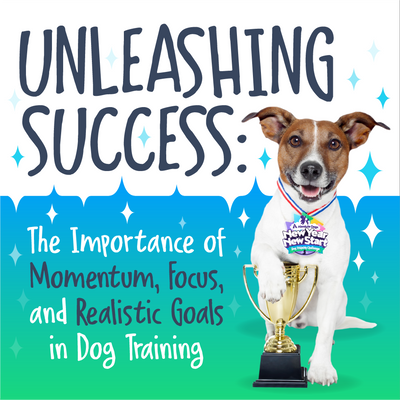 Unleashing Success: The Importance of Momentum, Focus, and Realistic Goals in Dog Training