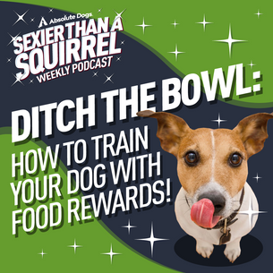 Ditch the Bowl: How to Train Your Dog with Food Rewards