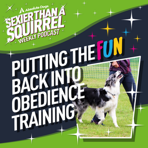 Putting the FUN Back into Obedience Training