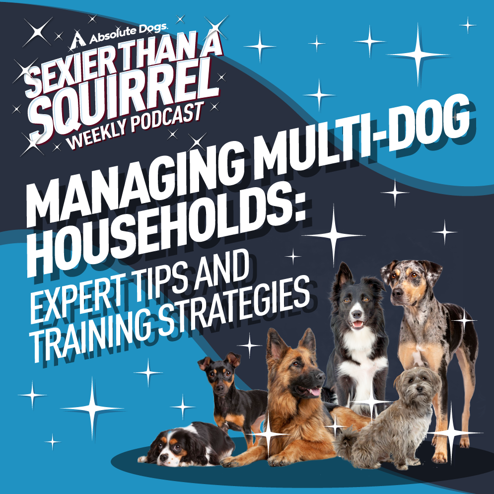 Managing Multi-Dog Households: Expert Tips and Training Strategies ...