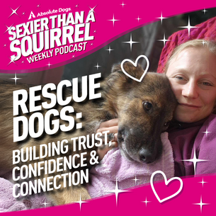 Rescue Dogs: Building Trust, Confidence and Connection