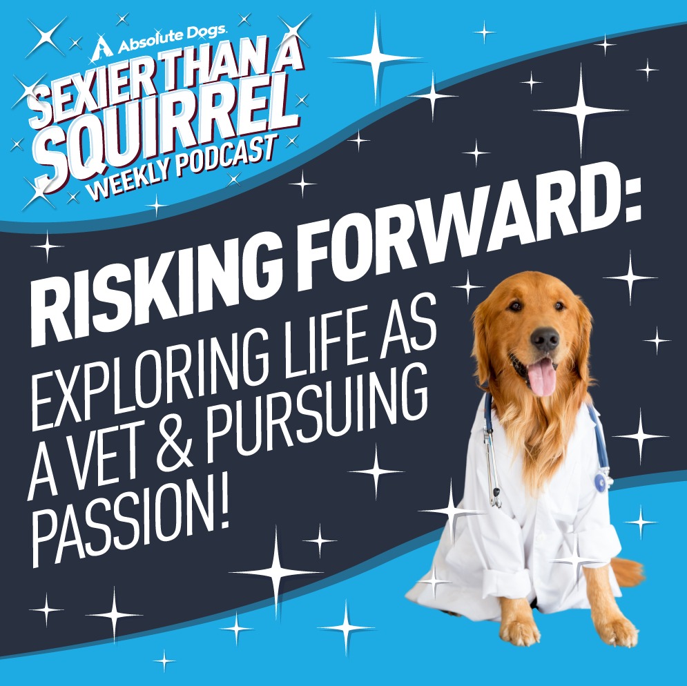 Risking Forward: Exploring Life as a Vet and Pursuing Passion ...