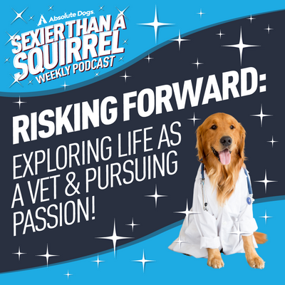 Risking Forward: Exploring Life as a Vet and Pursuing Passion