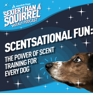 Scentsational Fun: The Power of Scent Training for Every Dog