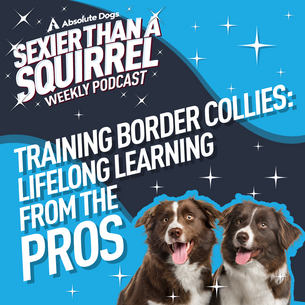 Training Border Collies: Lifelong Learning from the Pros