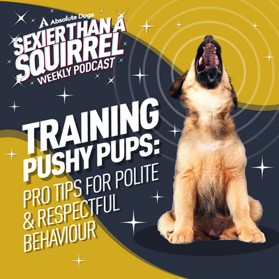 Training Pushy Pups: Pro Tips for Polite & Respectful Behaviour