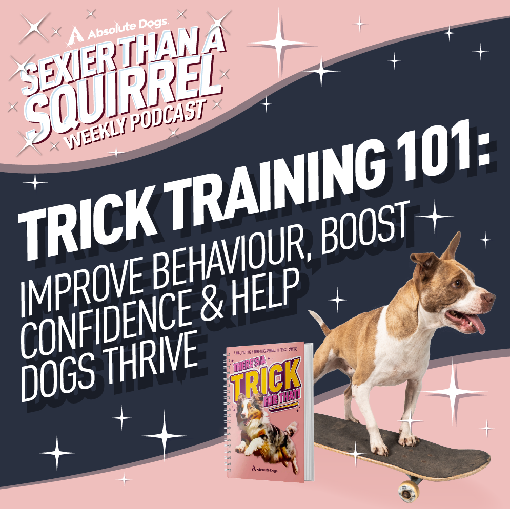 Trick Training 101: Improve Behaviour, Boost Confidence & Help Dogs Th ...